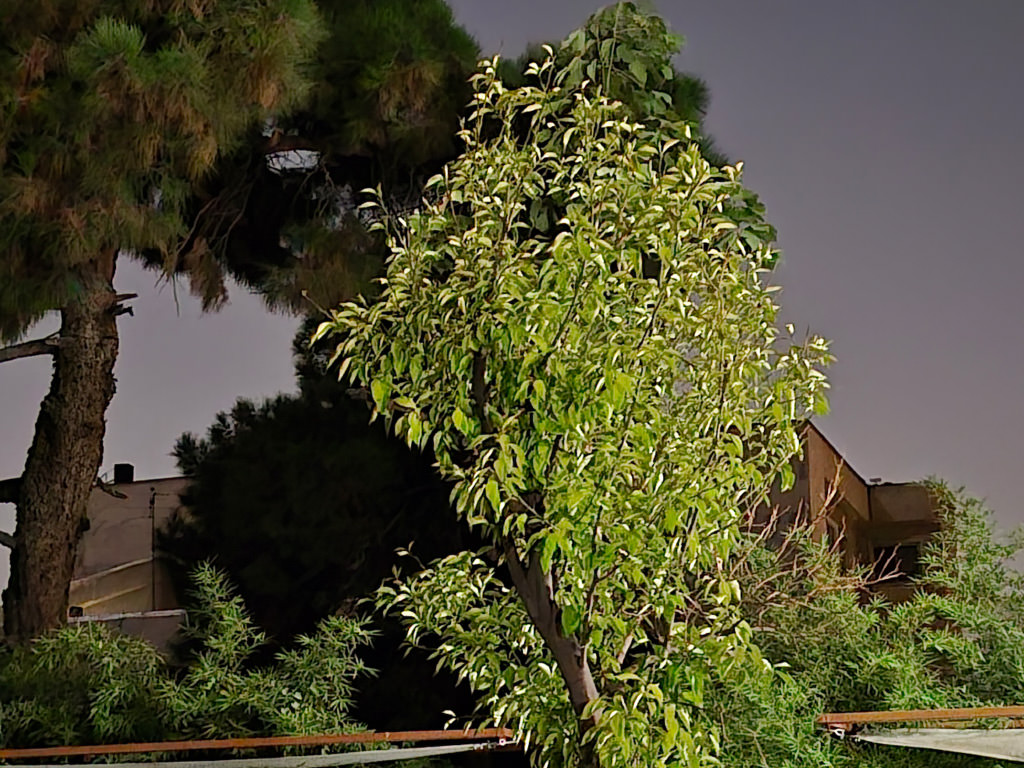 نمونه گرفته شده با دوربین تله&zwnj;فوتو گوشی Galaxy S25 FE در شب