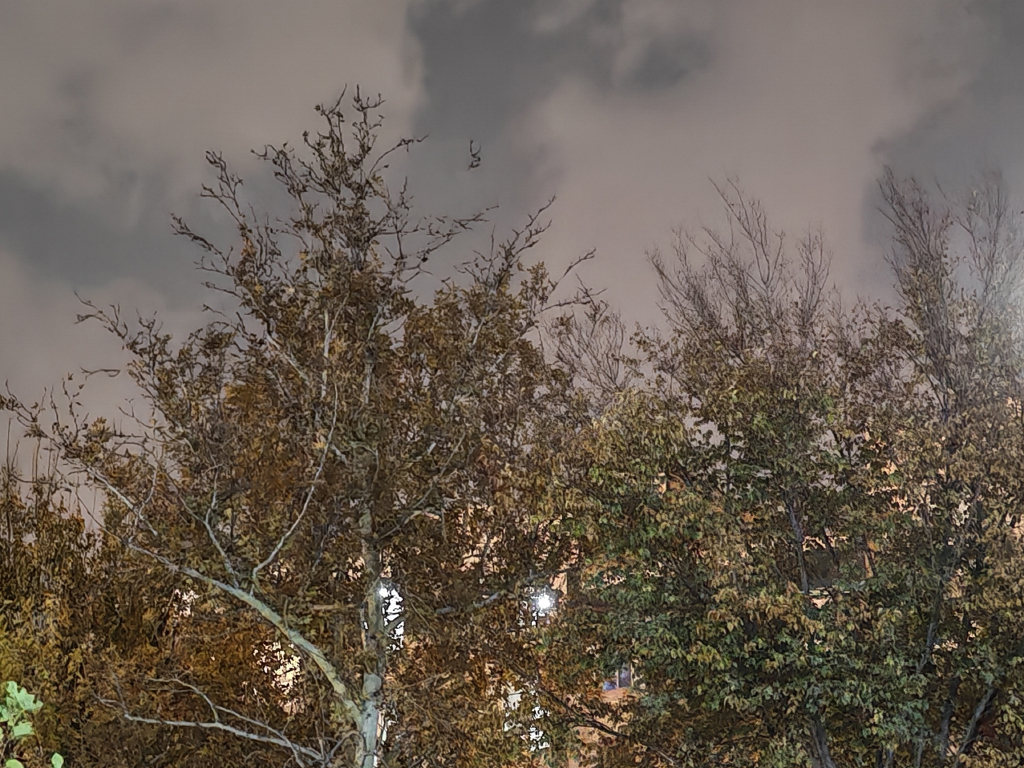 دوربین اصلی آنر ۴۰۰ پرو در شب