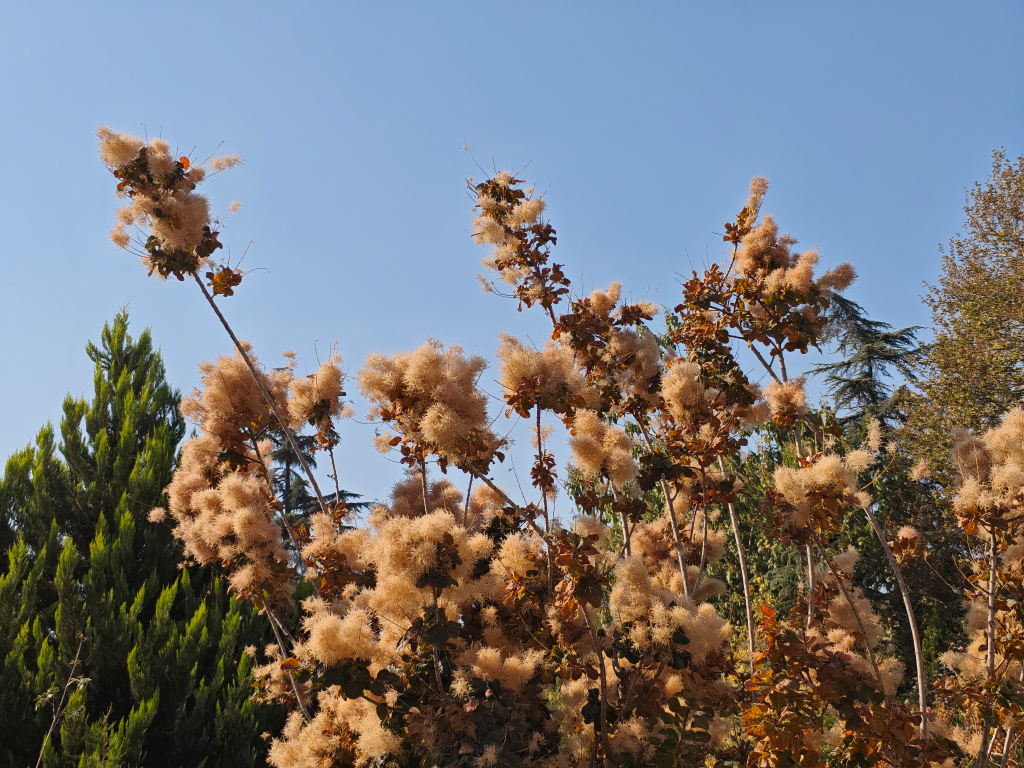نمونه گرفته شده با دوربین اصلی پوکو اف ۷ پرو در روز