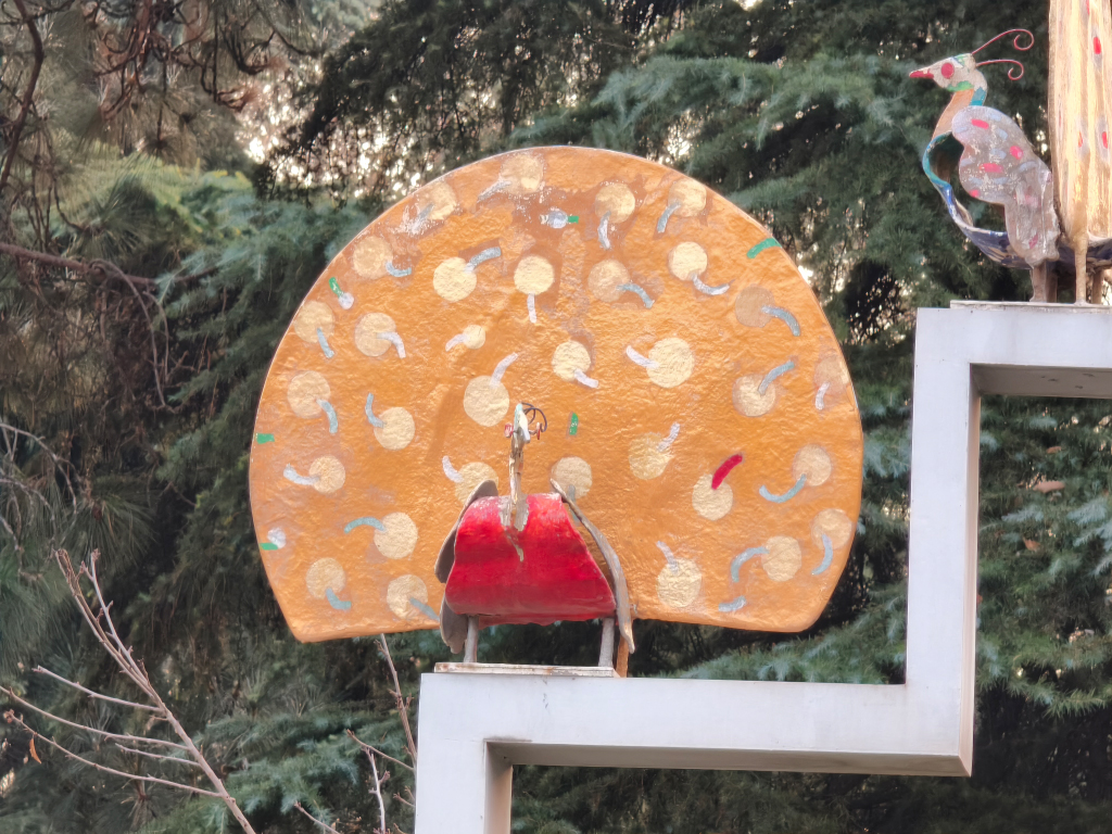 زوم ۵ برابر با گوشی شیائومی ۱۵ تی پرو