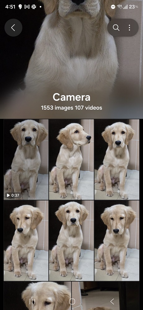 اپلیکیشن گالری