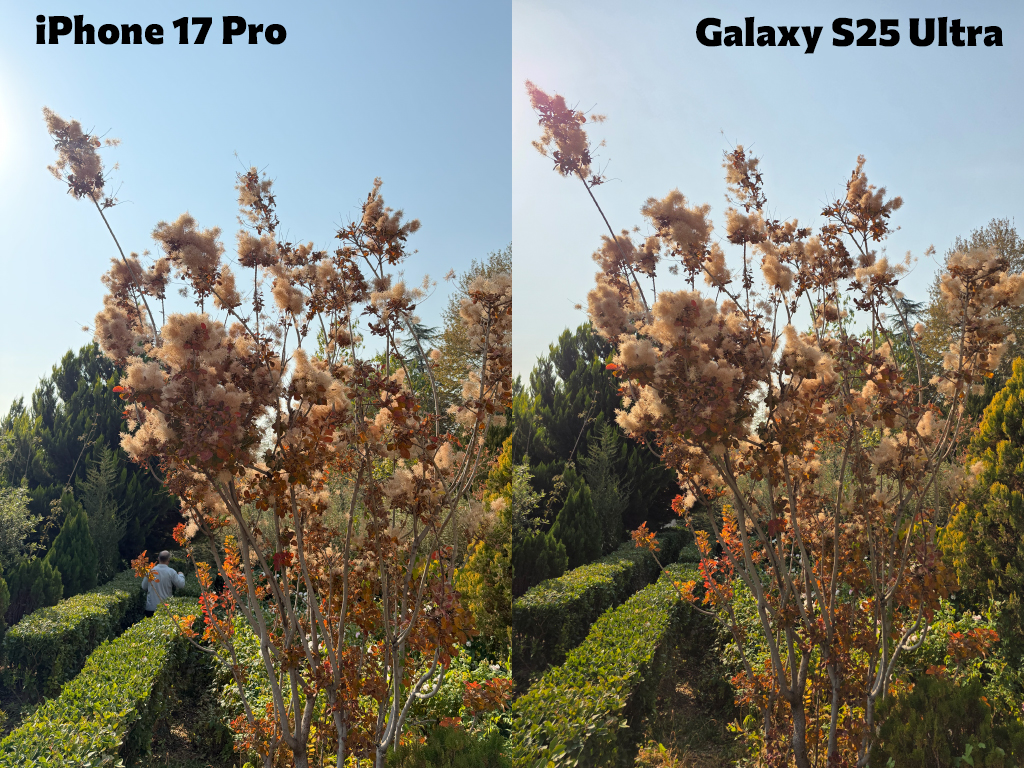 مقایسه دوربین اصلی دو گوشی آیفون ۱۷ پرو با گلکسی اس ۲۵ اولترا