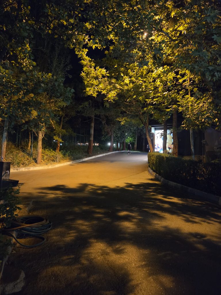 دوربین اصلی گوشی گلکسی زد فولد ۸ در نور شب